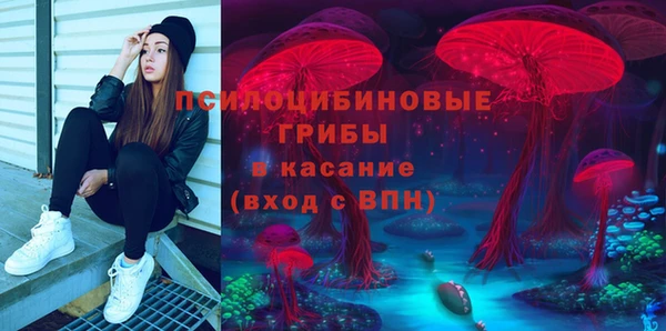 ПСИЛОЦИБИНОВЫЕ ГРИБЫ Верея